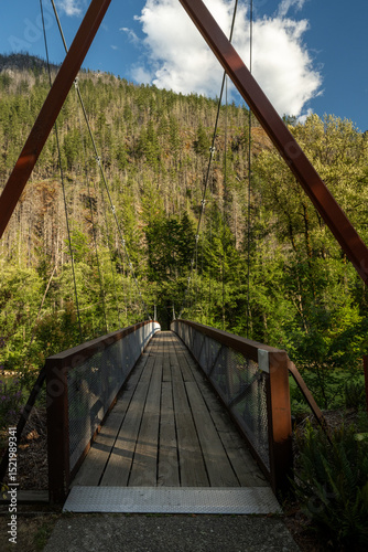 Looking Across The Trail Of Cedars Bridge Along Skagit River
