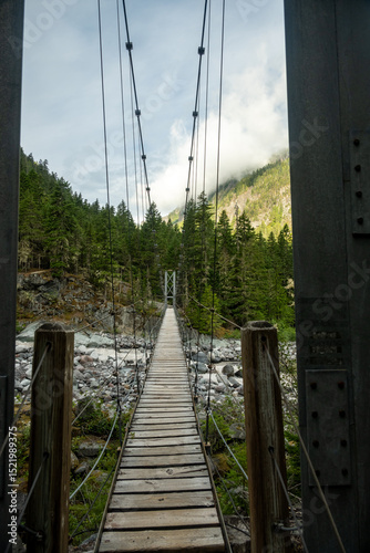 Looking Across The Carbon River Suspension Bridge
