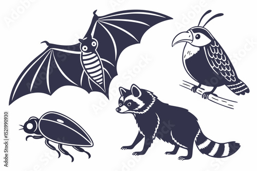 Illustration showing a bat, a bird, a raccoon and a beetle in a cartoon like vector style design