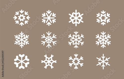Twelve unique white snowflake icons on brown background