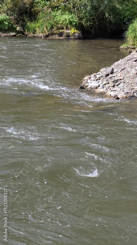 Slow motion vertical video of river Cherga in Altai. A river stretch with clear green water. Stones and pebbles are visible at the bottom.
