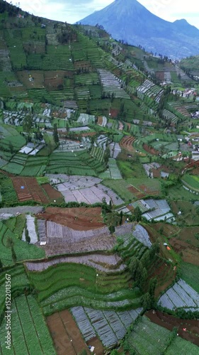 This aerial footage showcases vibrant green terraced fields in Indonesia. The camera pans slowly, revealing a majestic mountain backdrop under a cloudy sky.