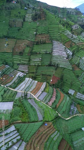 This footage showcases a high-angle view of terraced farmlands on a hillside. The landscape features vibrant green fields, winding paths, and scattered structures. The camera remains static.