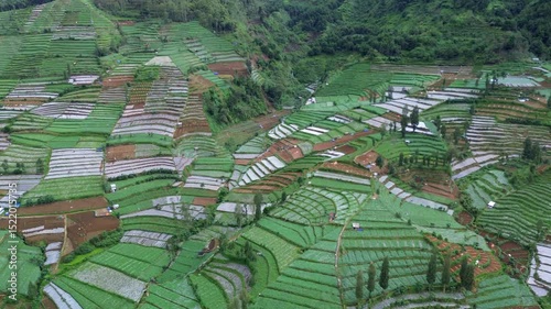 This footage showcases a wide aerial shot of vibrant green terraced rice fields nestled in a mountainous region. Small houses are visible among the fields. The camera slowly pans across the landscape.