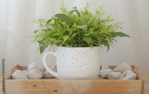 Aesthetic composition with a plant in a mug and pebbles on a wooden tray