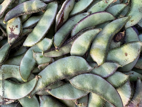 green organic beans kept in a heap, 