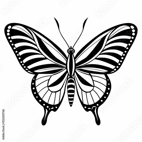butterfly vector illustration