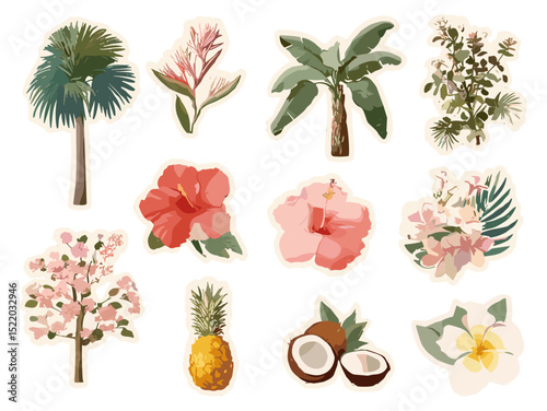 Tropical Palm Tree and Summer Flower Vector Set – Exotic Plants and Beach Elements