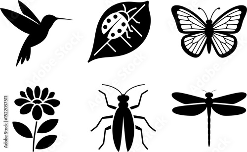 Vector art illustration of hummingbird ladybug butterfly flower insect dragonfly nature design elements set editable stock vector illustration