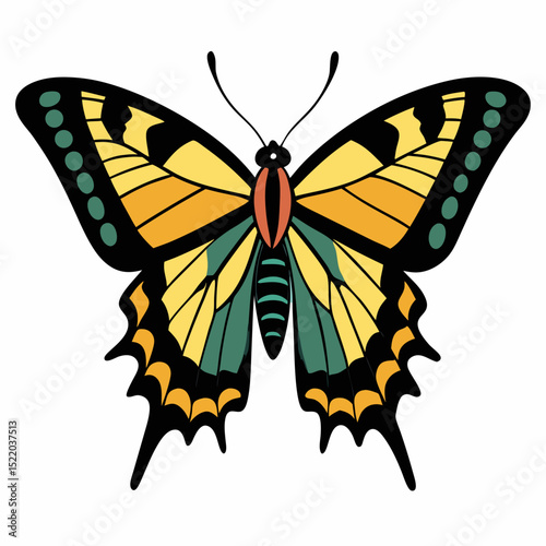 butterfly isolated on white