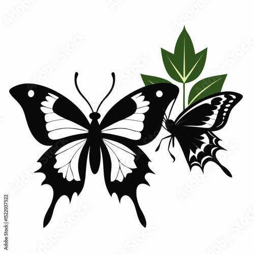 butterfly vector illustration