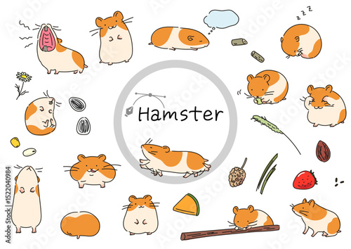 ゴールデンハムスターのイラストセットベクター線イラスト