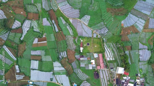 This aerial footage showcases terraced fields with varying shades of green and brown. A small village with houses and buildings is nestled beside the fields in Dieng, Indonesia.