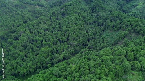 This footage showcases a dense green forest covering rolling hills, transitioning into terraced farmland. The camera slowly pans across the landscape, revealing the textures and patterns.