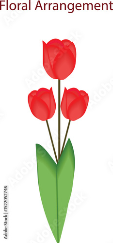 Close-up of a vibrant tulip flower in full bloom with soft natural lighting. Ideal for spring themes, gardening, nature backgrounds, floral decor, and seasonal advertising. High-resolution macro shot 