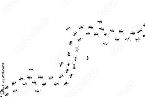 A path of ants running up vector isolated on white background.