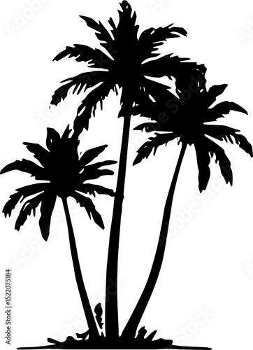 palm tree silhouette