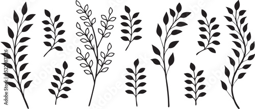 Botanical Leaf and Plant Sprigs. Vector Set for Nature, Floral Design. Outline and Solid Plant Elements for Nature-Themed Invitations and Decor.