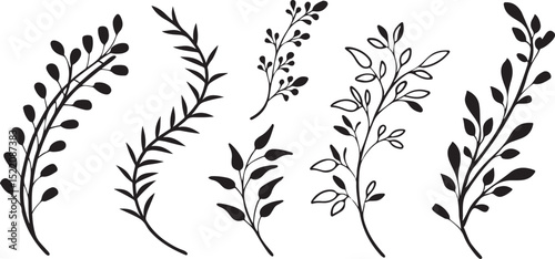 Botanical Leaf and Plant Sprigs. Vector Set for Nature, Floral Design. Outline and Solid Plant Elements for Nature-Themed Invitations and Decor.