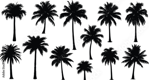 Tropical palm trees set silhouettes