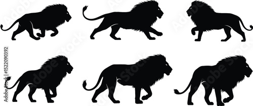 lion silhouette set. isolated vector image 