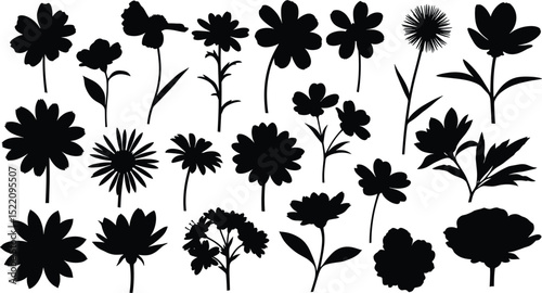 plant and floral illustration for romatic decoration or stock of wedding print, flower vector bundle