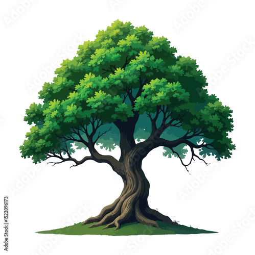 Majestic Oak Tree with Lush Green Foliage and Exposed Roots.