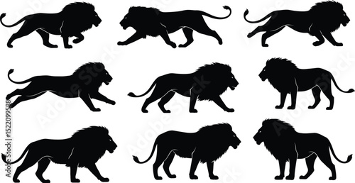 lion silhouette set. isolated vector image 
