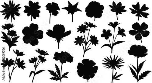 plant and floral illustration for romatic decoration or stock of wedding print, flower vector bundle