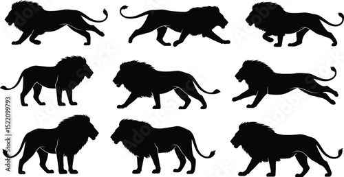 lion silhouette set. isolated vector image 