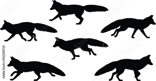 Fox silhouette. Set. Vector illustration isolated on white background