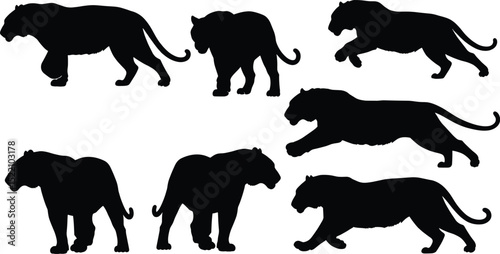 Tiger silhouette set. isolated vector image 