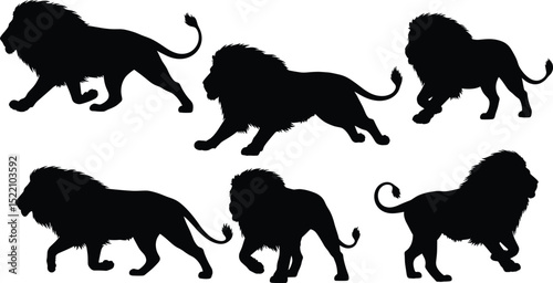 lion silhouette set. isolated vector image 