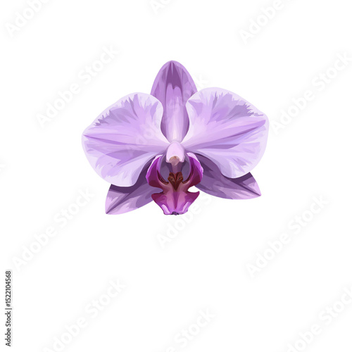 Digital illustration of a single purple orchid with vibrant hues, sharp details, on white background, elegant and clean.