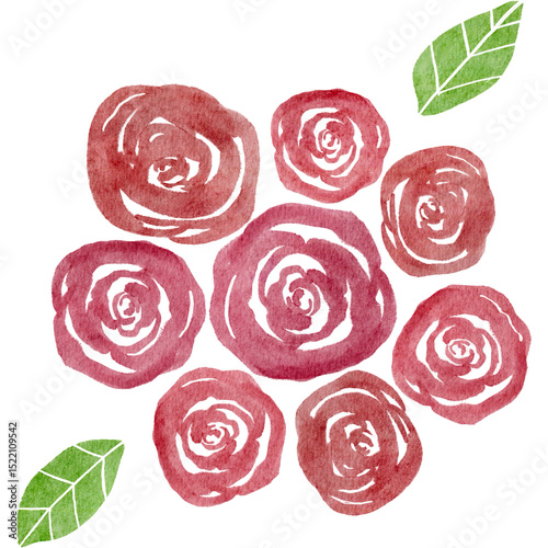 Fototapeta Naklejka Na Ścianę i Meble -  花　薔薇　赤　水彩　イラスト