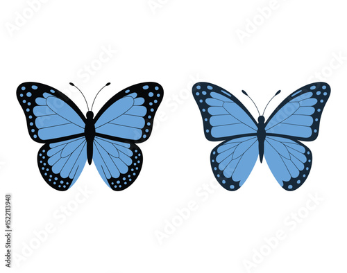 blue morpho butterflies in vector format

