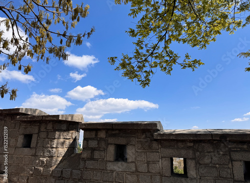 Blue sky, tree branches, old stone walls
