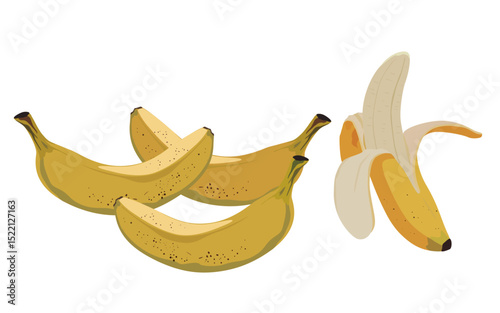 Banana, fruit banana illustration material
