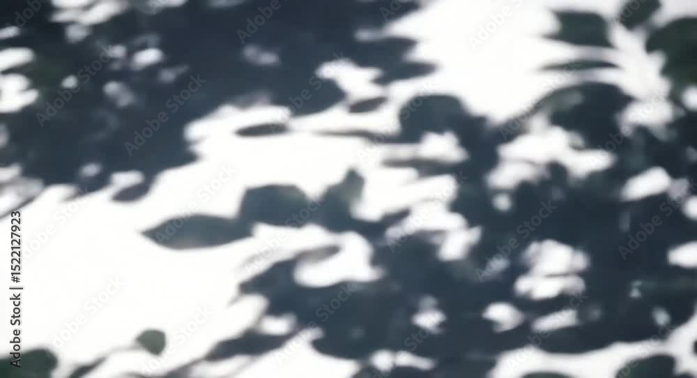 Tree leaves shadow on a white surface, creating an abstract pattern. The natural light enhances the contrast, ideal for backgrounds and overlays. Tree leaves shadow on a white surface, creating an abstract pattern. The natural light enhances the contrast, ideal for backgrounds and overlays.