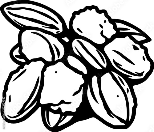 Stylized Black And White Line Art Drawing Of A Cluster Of Pistachio Nuts With Shells