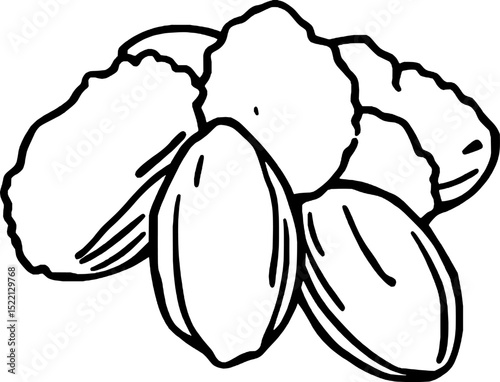 Hand Drawn Illustration Of A Small Group Of Almonds On A White Clean Background