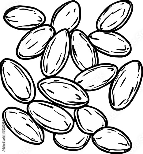 Heap Of Almonds Isolated On White Surface With Black Outlines Vector Style Realistic Drawing