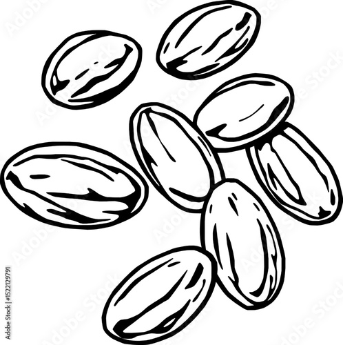 Graphic Black And White Depiction Of Several Almonds Scattered On A Clean White Surface