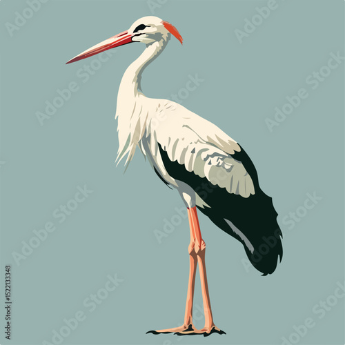 black, wildlife, no people, evening, silhouetted, storks, silhouette, color image, sunset, outdoors, glowing, jabiru mycteria, foliage, wildlife photography, full-length, branches, tranquil, perched, 