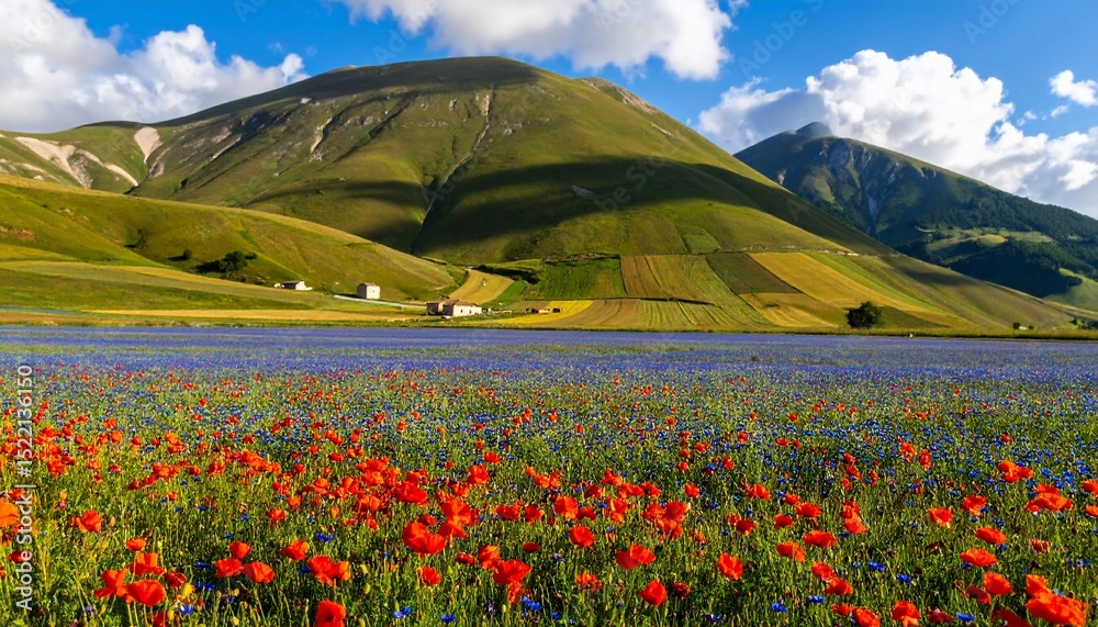 Castelluccio di Norcia's Blooming Fields Castelluccio di Norcia's Blooming Fields