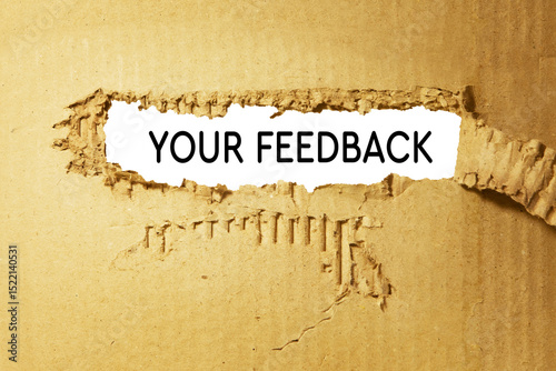 Feedback, text on torn cardboard paper with white background. 