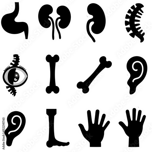 Illustration of human internal organs and body parts, black background with white outlines