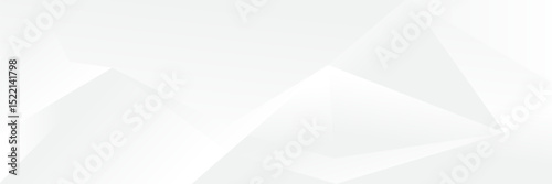 Abstract pattern white geometric banner design background.
