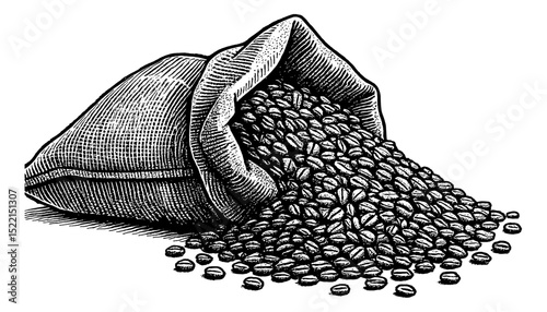 Engrave Illustration of Coffee Beans spilling out of Sack on white background