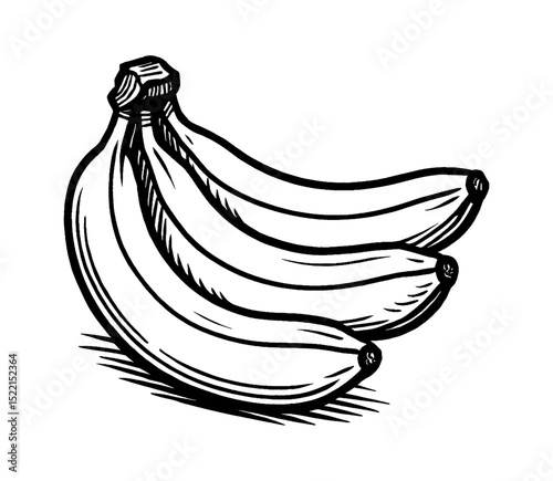Bunch of Three Bananas in Black and White Vector Graphic with Detailed Outline